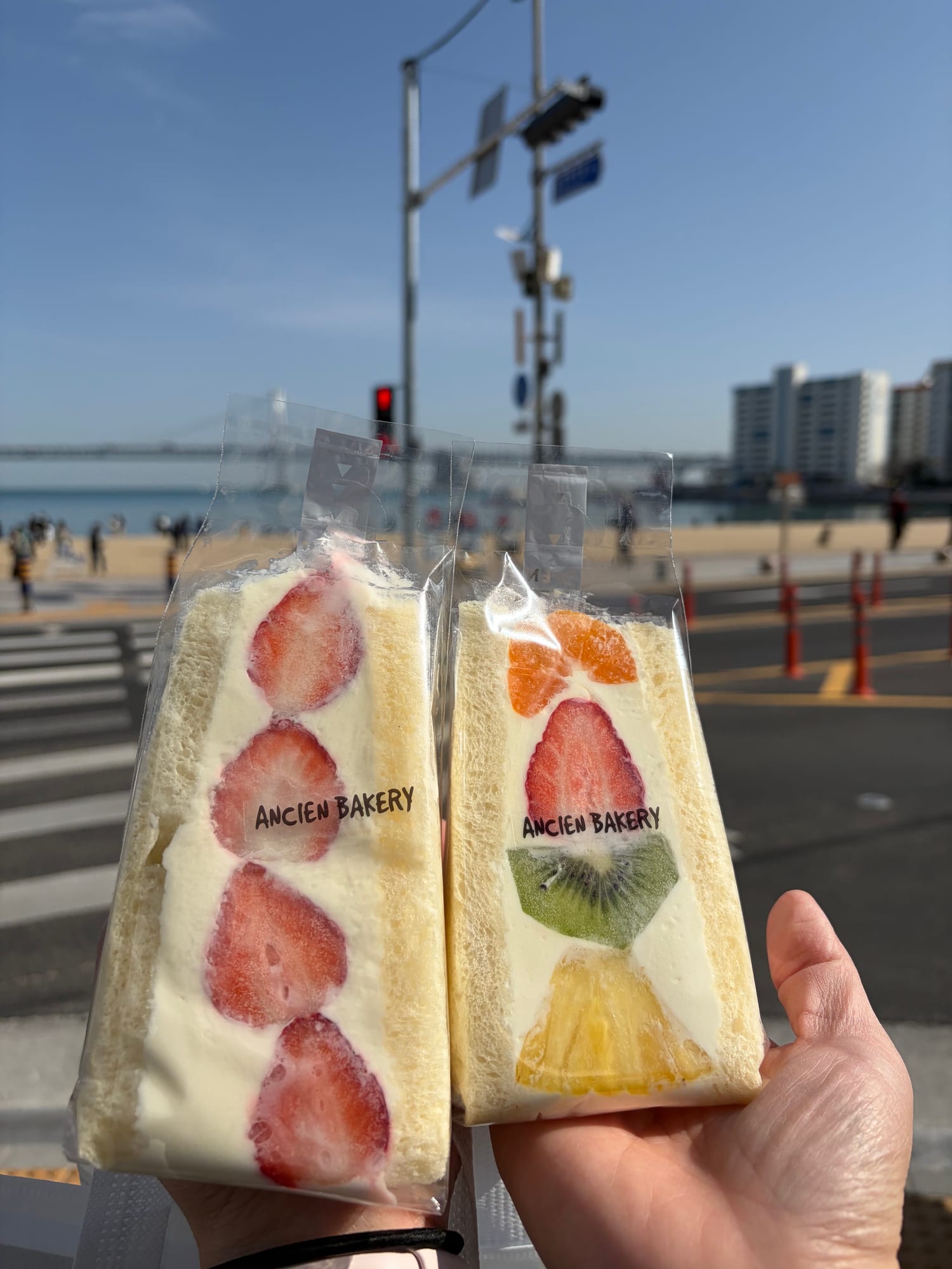 ANCIEN BAKERY 的水果三明治，在海邊木棧道上拍攝，新鮮美味